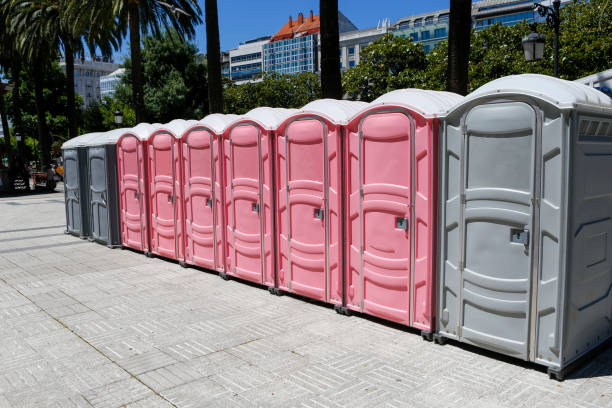 Types of Portable Toilets We Offer in Leo Cedarville, IN